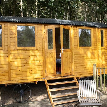 Pike'S Cabin In The Woods Hebden Bridge Exteriér fotografie